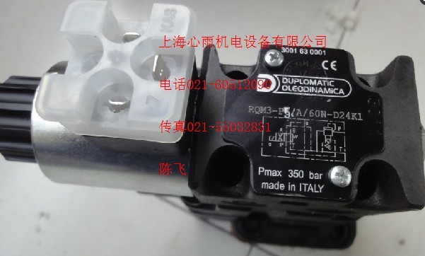 DUPLOMATIC�����RPST2/21N-K1/K�؃r�N��